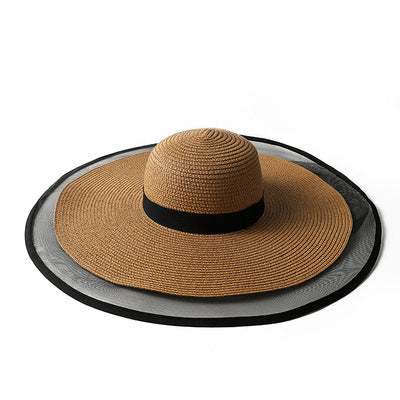 Summer Big Brim Hat